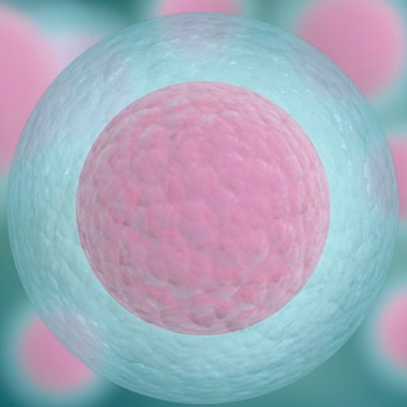 Fecundación in vitro reproducción asistida Murcia
                        