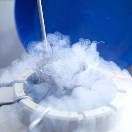 ¿Vitrificar embriones en un tratamiento de fecundación in vitro?